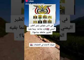 سوف الصقر اليمني رافع جناحي