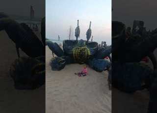 Is Jahaki Hey Tumhari Akhe Viralshort Seabeachpuri Song
