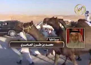  مسيرة منقية محمد بن مقرن العامري المركز الأول شوط العشرين المفتوح بينونه الظفرة 2013م