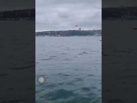 انا مابدي تجي وتقول اعذريني مشغول فيروز انا مابدي تجي وتقول اعذريني مشغول فيروز