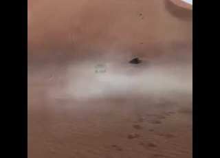  الفلسطيني في بنغازي اشتراك في الصفحه