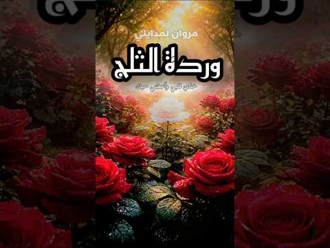 مروان لمدايني يقدم وردة الثلج حبك بارد نقي جمد قلبي أحبك