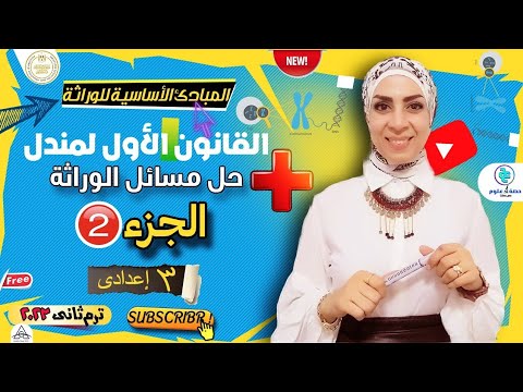 قانون مندل الأول ومسائل الوراثة المبادئ الأساسية للوراثة جزء ٢ الصف الثالث الإعدادي ترم ثاني