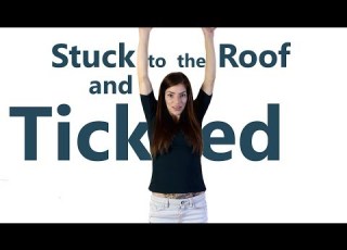  Stuck To The Roof And Tickled