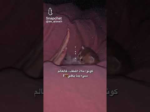 عيناها نزفها مشتكاها حالات واتس اب