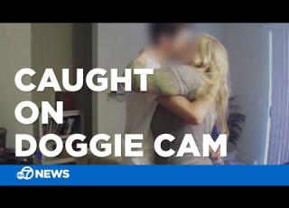 Pet Sitter Caught On Doggie Cam Naked Inside Client S Home
