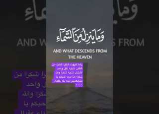  احبكم مره مره والله احبكم شكرا على ٨٠٠ يله يله عقبال ١٠٠٠