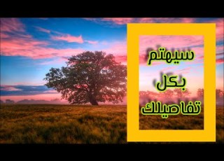 سيزرية تجهيز حبيبك ليهتم بك أكثر من أي شخص في حياته