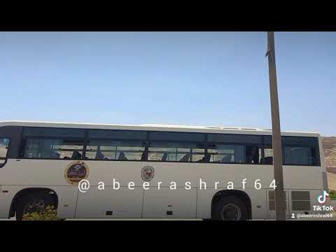 نجاة الصغيره عاليادى اليادى سوهاج بلدى وأفتخر حلات واتساب نجاة الصغيره عاليادى اليادى سوهاج بلدى وأفتخر حلات واتساب