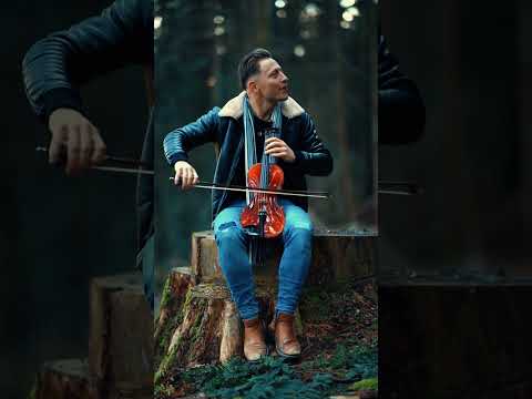 Bella Ciao On The Violin In The Forest It S Getting Colder Violin Violinmusic Bellaciao