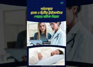 গর ভ বস থ র প রথম ও দ ব ত য ট র ইম স ট র শ য র সঠ ক ন য ম Pregnancy Sleeping Positions In Bengali