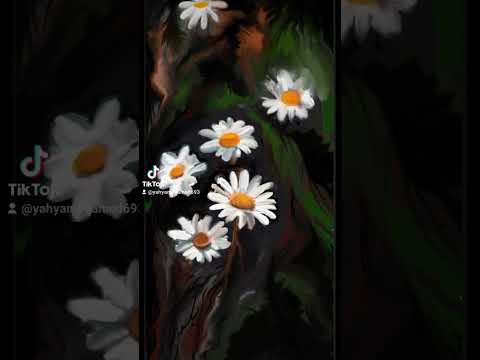 أغنية يونانية ماكاباي