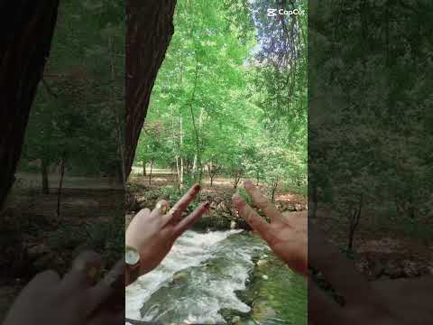 خاطاك وهم خطاهم جاف