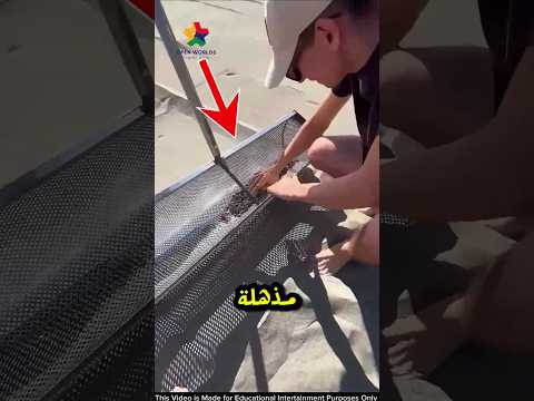 لن تصدق الكنز الذي وجده هذا الرجل أثناء تنظيف الشاطئ