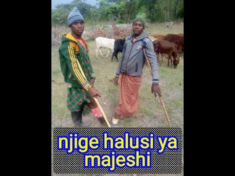 NJIGE HALUSI KWA MAJESHI 0620540012 MBASHA STUDIO 2022