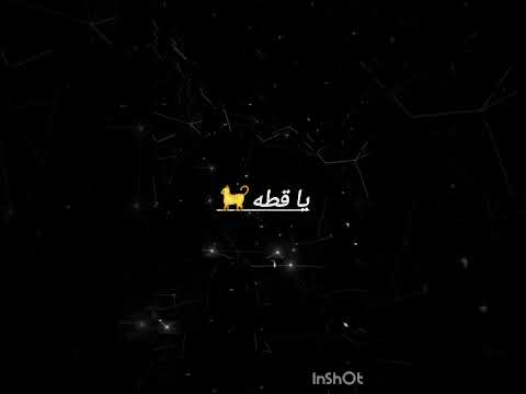 اكلك منين يا بطة هيفاء وهبى بدون موسيقى دودي Lifeisbutadream Tocaboca اكسبلور