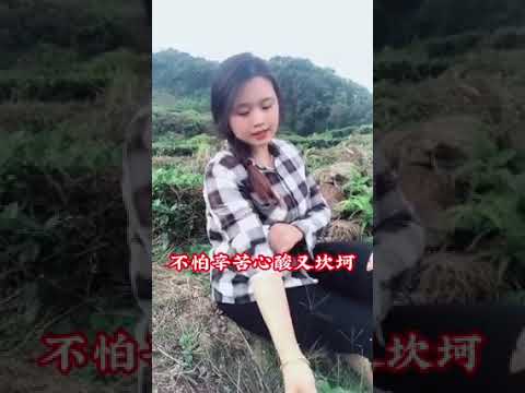 舞女淚 改编 農民的心聲 凌兒