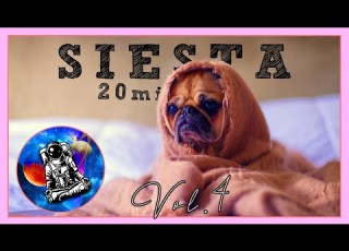 SIESTA DORMIR 20 Minutos Y DESCANSAR 8 Horas Ondas Delta