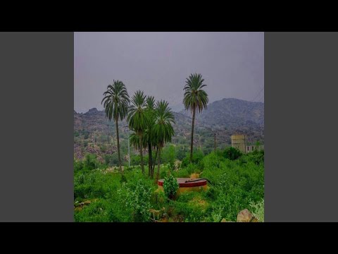 ارض التهايم