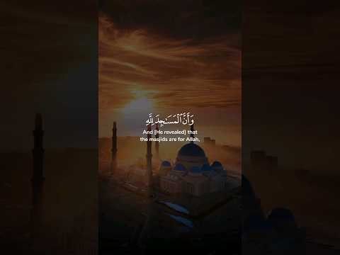 وأن المساجد لله فلا تدعوا مع الله أحدا وأنه لما قام عبد الله يدعوه كادوا يكونون ياسر الدوسري