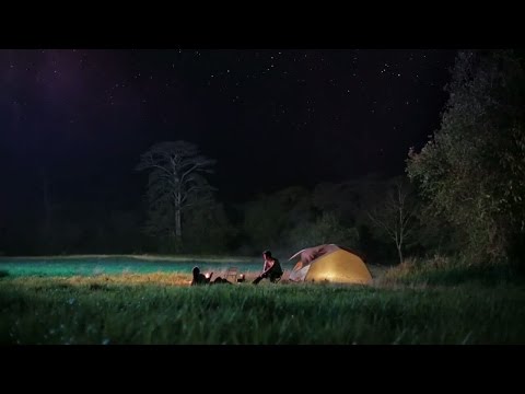 Sergey Grischuk Spring Love