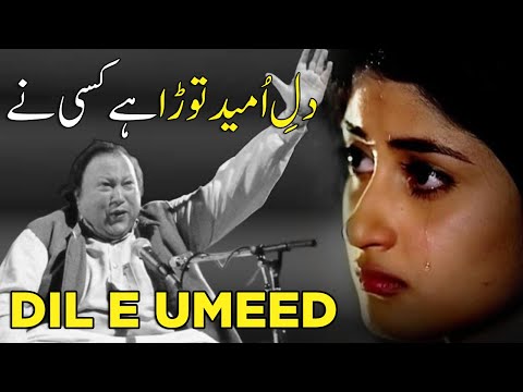 Dil E Umeed Tora Hai Kisi Ne Slowed Reverb Trending Lofi Lo Fi Koi Umeed