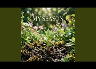  My Season