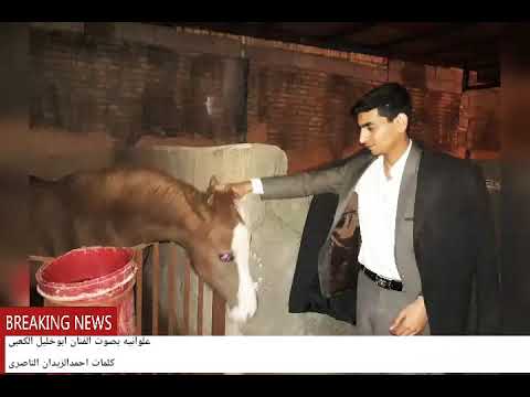 علوانیه بصوت ابوخلیل الکعبی کلمات احمدالزیدان الناصری