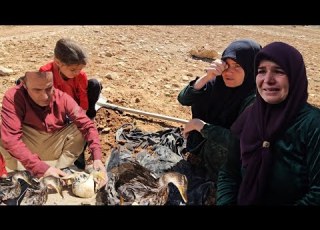  Nomadic Family Building A New Home Heartbreaking Duck Pond Tragedy