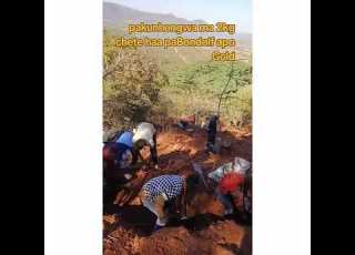  Vanhu Vari Kunhonga Ma 2kgs Egoridhe Pa Bondolf MuMasvingo Zw