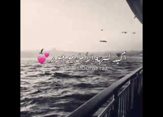  قصاد عيني