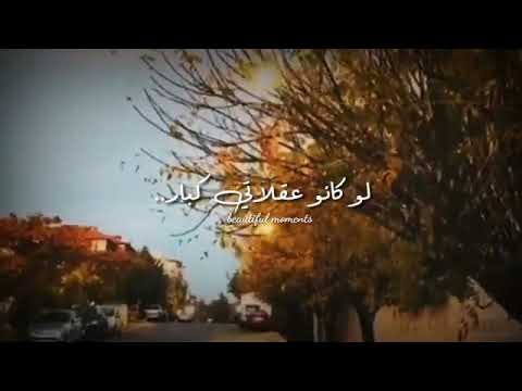 لا تسالني كيف بغار لوكانو عألاتي كبار