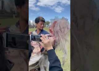 君と世界が終わる日に 花嫁ゴーレムと出くわす響 お姫様抱っこでオフショット撮影中 竹内涼真 青山めぐ 特別編