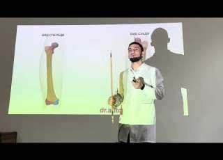 АНАТОМИЯ БЕДРЕННОЙ КОСТИ СТРОЕНИЕ БЕДРЕННОЙ КОСТИ БЕДРЕННАЯ КОСТЬ