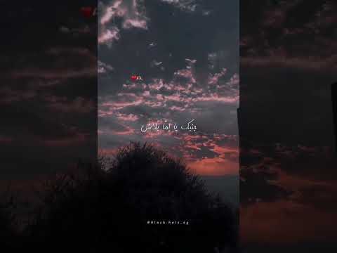 عمرو دياب معاك قلبى وبلاش تغيب عنى بتوحشنى عمرو دياب معاك قلبى وبلاش تغيب عنى بتوحشنى