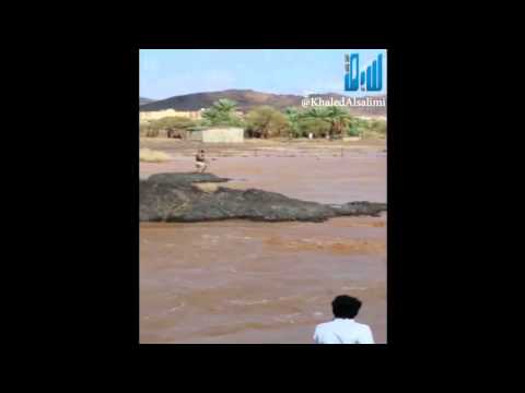 السوداني منقذ طفل وادي بدع بن خلف بحائل السعودية