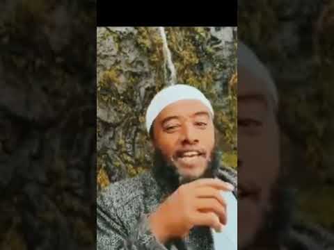 Geerarsa Xiqqoo Tokko Ittiin Bashannanaa