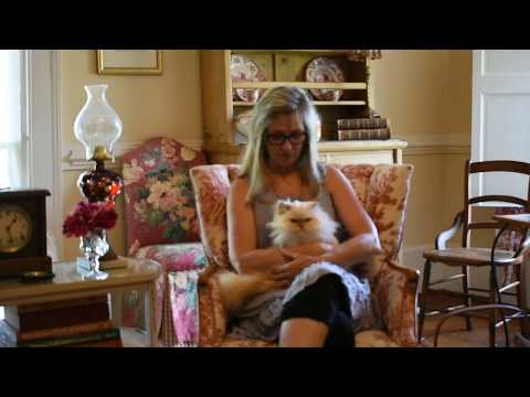 Our Cattery S Story How Essental Oils ARE Toxic To Cats And Kittens