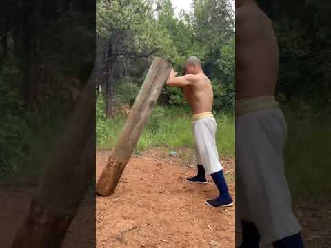 REAL Shaolin Kung Fu Training ShaolinKungfuYanhao