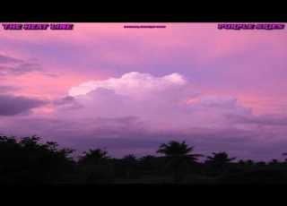 The Heat Line Purple Skies 2026 Album