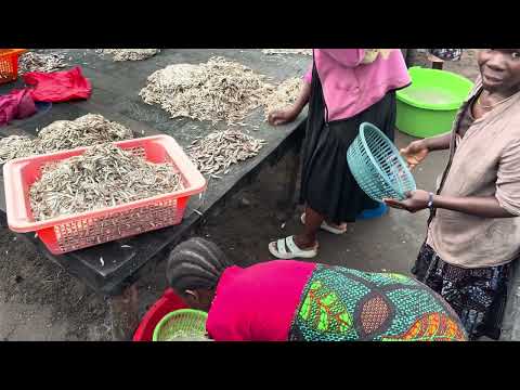 From Lake To Market The Power Of Women In Igombe