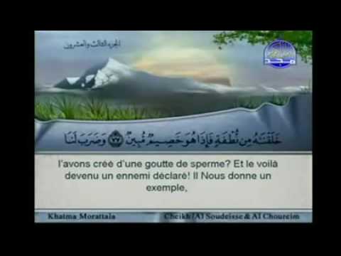 23 القرآن الكريم الجزء الثالث والعشرون الشريم و السديس 23 القرآن الكريم الجزء الثالث والعشرون الشريم و السديس