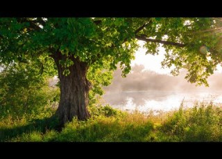  12 Hours Of Relaxing Music Piano Music For Stress Relief Sleep Music Meditation Music Erin