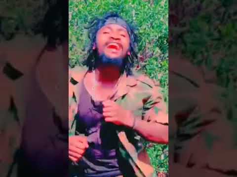 Coming Soon Hortee Kuush Yoosiif Yaadataa Guyya Muraasa Nimoo Waadaa Gootaa430 Shorts