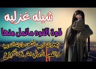 مخاوي الليل ذيب اليمن مازن الذيب والفهد اليماني اشرف الشجاع قوة القوه وتك كلمات الشاعر ابو كنان