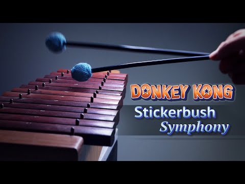 Donkey Kong Stickerbrush Symphony