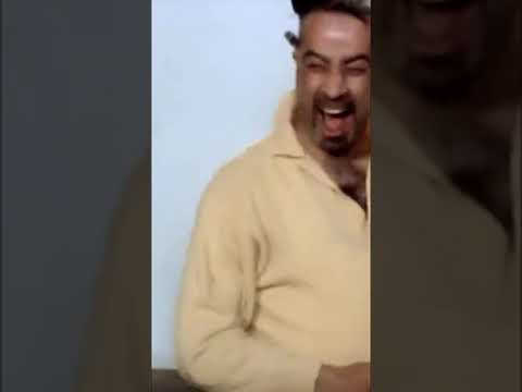 اللمبي عبلة كامل Shorts Shortvideo Short اللمبي عبلة كامل Shorts Shortvideo Short