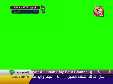 طيور الجنة شاشة مباشر اخضر