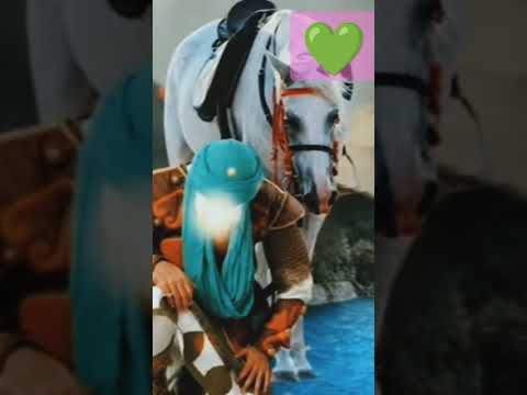 Darya Ko Thum Ne Chhane Laya Maina Khuch Kaha Pani Ko Dekhaya Dekhean Peya Maina Kuch Kaha