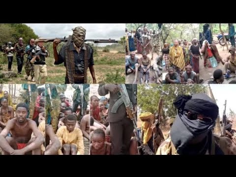 Kaduna Drama Fulani Bandits Clash With Youths Harrison Saves More Lives